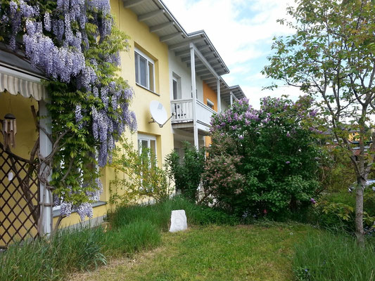 Forsythie, Schmetterlingsflieder, Flieder und Winterjasmin grenzen den Garten in der warmen Saison abwechslungsreich, üppig blühend und duftend zum Nachbarn im Osten ab.