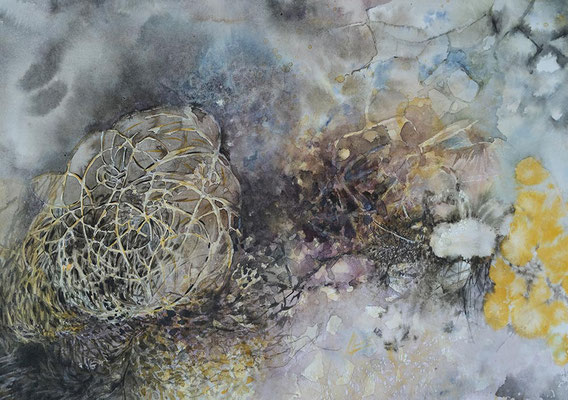 Wuestenrose 2019 Tusche 35x50cm