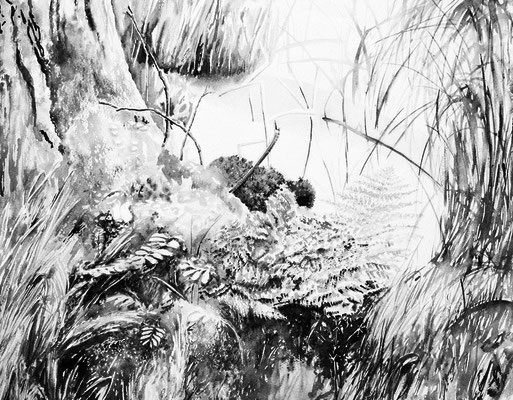 Moor 1 2016 chin. Ink 35x45cm