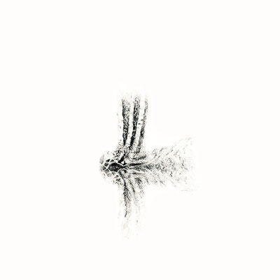 Bruchstueck 5 2015 Bleistift 20x20cm