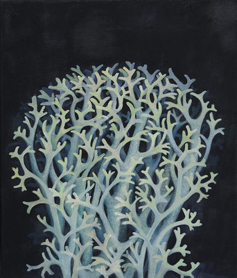 Lichen 2 2024 Öl auf LW 30x24cm