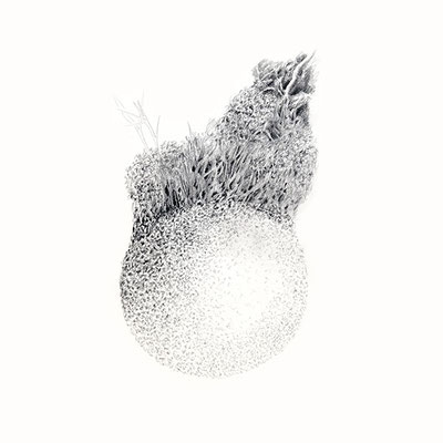 Bruchstueck 4 2015 Bleistift 20x20cm