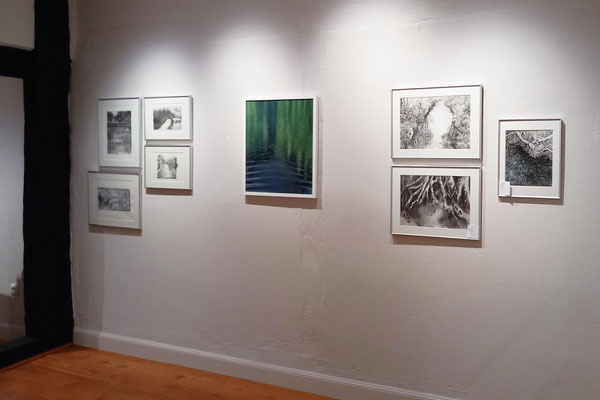  FlussLauf Galerie