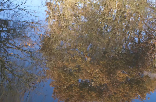  FlussLauf Filmstill aus „Die Welt im Spiegel", Videoarbeit, 2022 - 2023