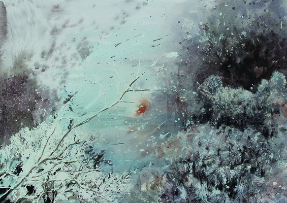 Wasserstern 2017 Tusche 35x50cm