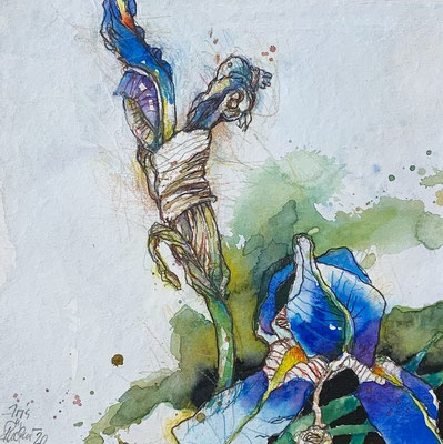 Iris, Aquarell, 2020, 25 x 25 cm