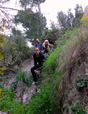 In Pylos