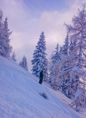 To return to the snowy mountains right away.