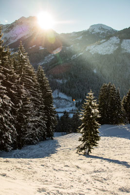 sodass wir den neuen Schnee abseits der Piste in vollen Zügen genießen!