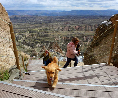 Bernd, our dog for the day, was the one to get up on top. 