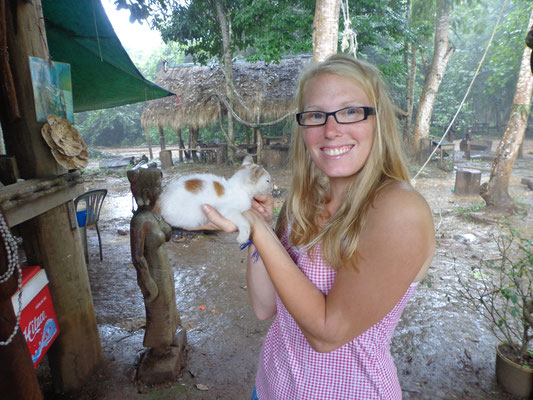 Soooo... süßes Katzenbaby in Cambodia.