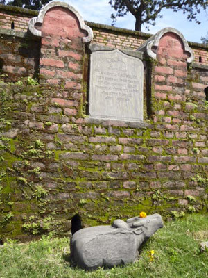 The bull, the "car" of Shiva.