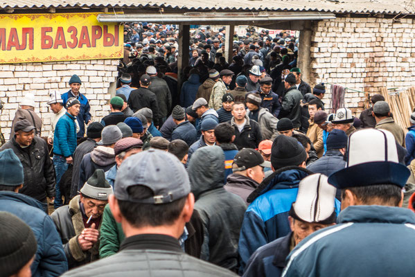 Viehmarkt in Osh