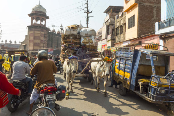 many bikes, cars, cows, tuktuks on the roads,