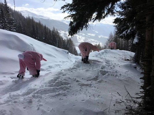 pink rabbits Großglockner