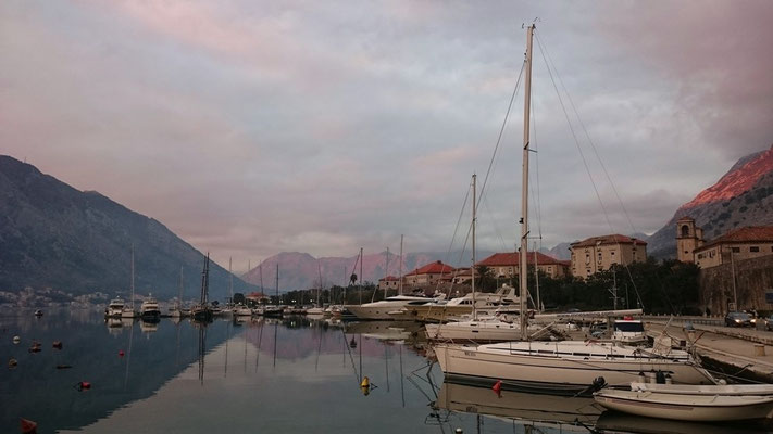 The harbour of Kotor ...