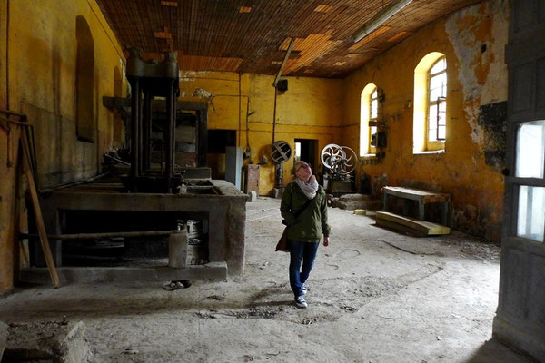 Die alte Olivenfabrik. Durch das verrostete Tor sind wir hineingeschlüpft und standen plötzlich in einer scheinbar gerade verlassenen Fabrik aus der Mitte des letzten Jahrhunderts.