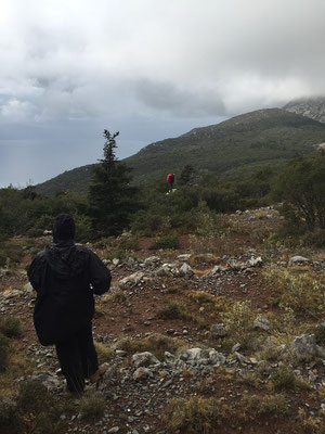The "hiking trial". Up front: Joerg Joerg is looking for the way.