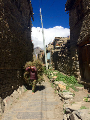 In Nepal wird alles auf dem Kopf transportiert. Harte Arbeit für alle. 