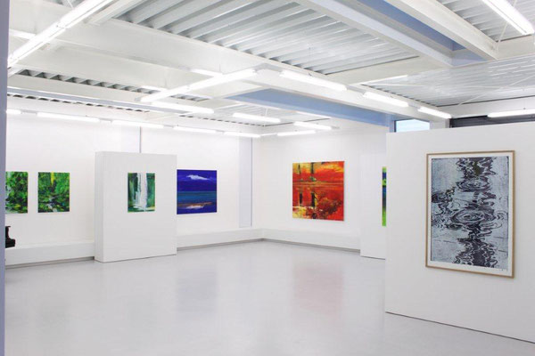 Ausstellungsansicht, Bernd-Zimmer, Zweite Natur. Malerei, Brunnhofer-Galerie-2014