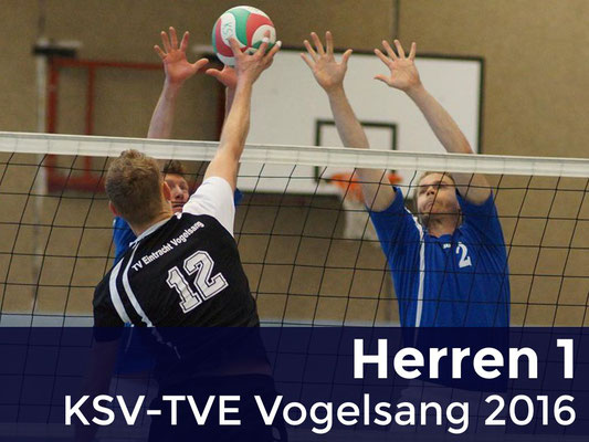 Herren 1 - KSV-TVE Vogelsang 2015/16