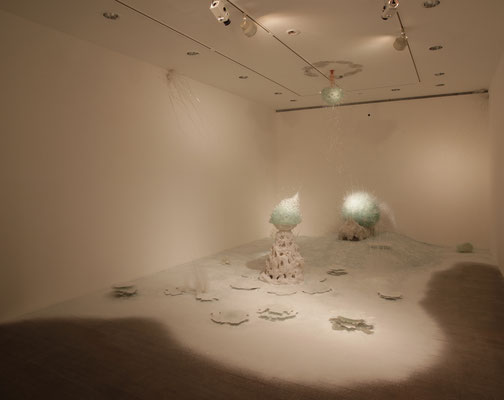 2009  Duquheapuer ecology 　 水戸芸術館美術ギャラリー第九室　茨城県