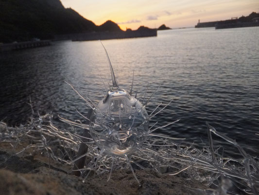 2011  KOSHIKI ART EXHIBITION のインスタレーションより　鹿児島県