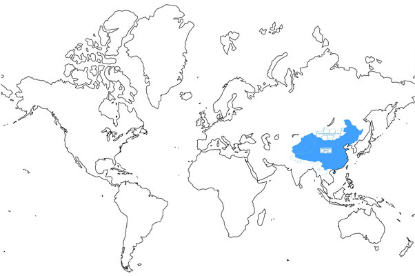 12. China (Republik): 1912 – heute