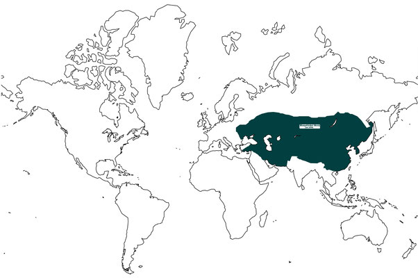 7. Mongolisches Reich: um 1280