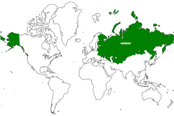 11. Russland (Sowjetunion): 18. Jhdt. - heute (größte Ausdehnung: 1918 – 1990)