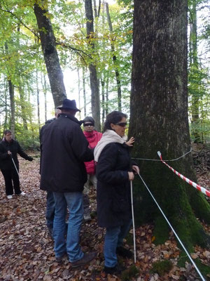Partage d'expérience en forêt