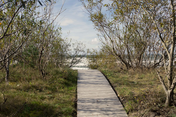 path to the dune