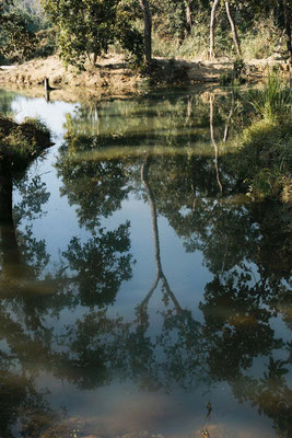 Chitwan National Park, Nepal