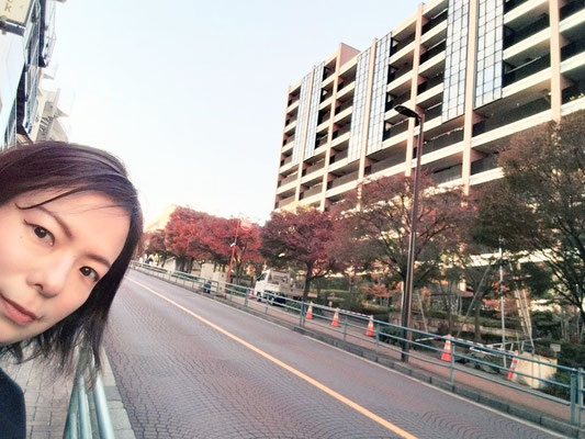 こども歳時記　紅葉坂