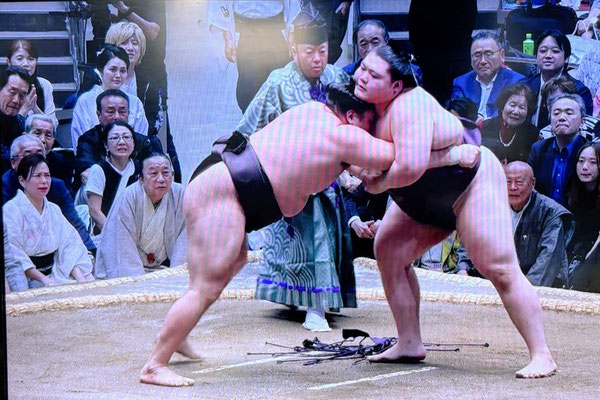 相撲６日目