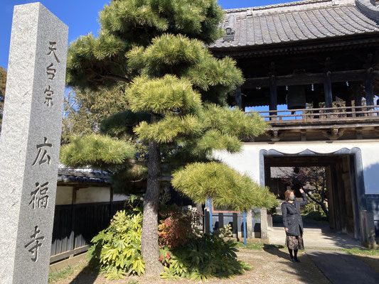 狭山市　広福寺　竜宮造りの門。