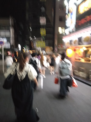 琴調の夏