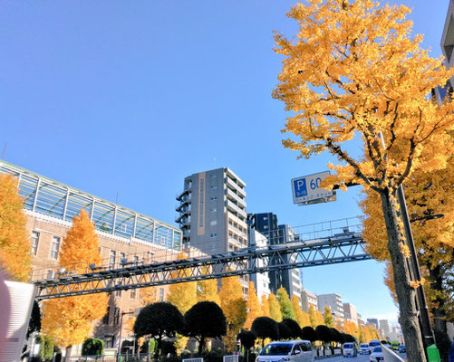文京区白山