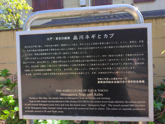 東海道　品川宿　史跡めぐり　品川神社