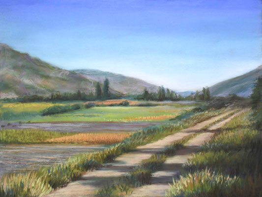 Camino de Valfermoso, Guadalajara. Pintura pastel. 21x30cm