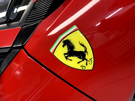 Das Scuderia Emblem