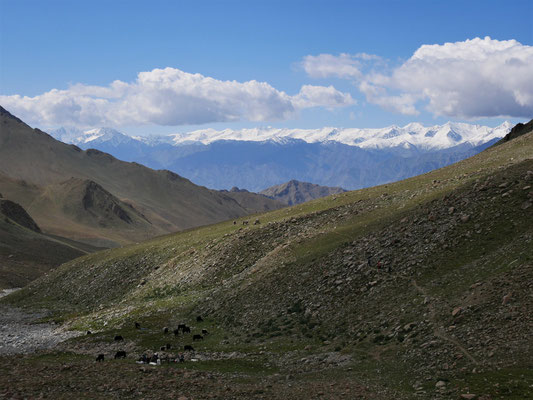 Noch ein Blick zurück zur Zanskar-Kette über dem Industal