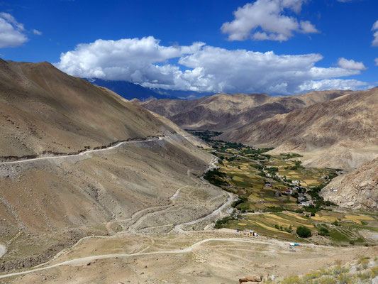Die Straße zum Chang-Pass führt stetig ansteigend durch den linken Hang über dem Tal von Chemrey