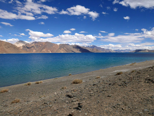 Der Pangonng Lake zieht sich insgesamt 150 km bis nach Tibet hinein