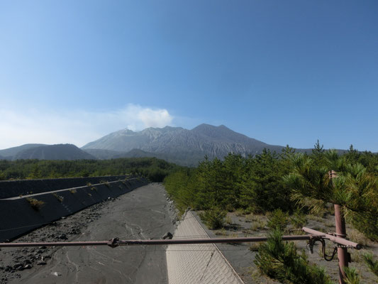 　ここから見上げる桜島はとても男らしく迫力があります。手前は土砂災害防止用の砂防ダム。