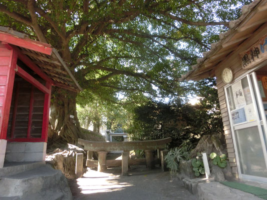 黒神神社にある埋没鳥居　