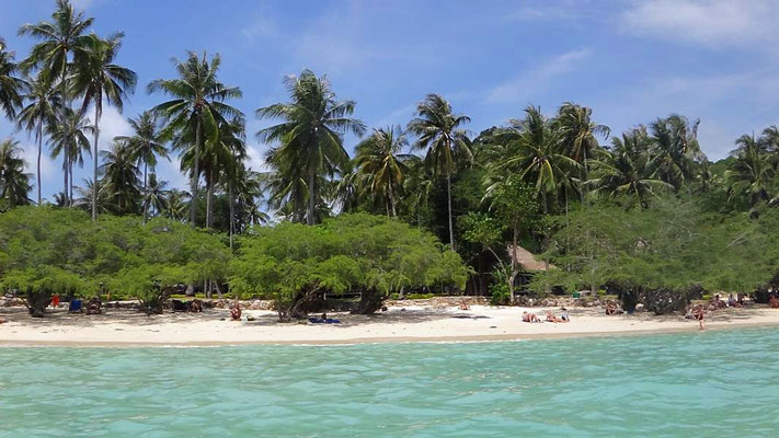 Sharkbay, Ko Tao