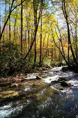 Great Smoky Mountains