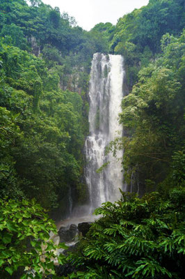 Road to Hana 