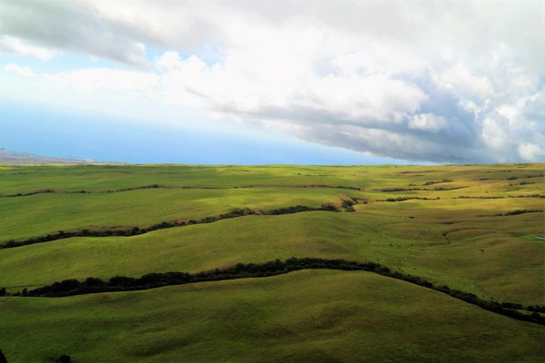 HELIFLUG, Big Island